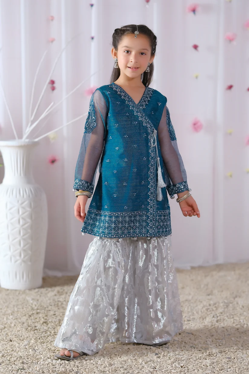 Kids Festive Collection 2024 - Nilofer 2pcs - Embroidered