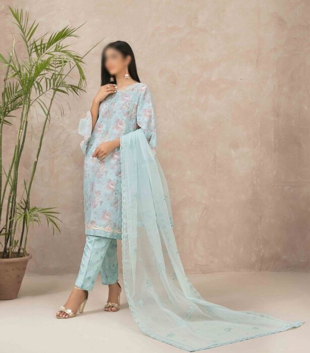 D 9086 AMAVI Stitched Fancy Embroidered Organza Shirt with Printed Silk Inner Collection 2023